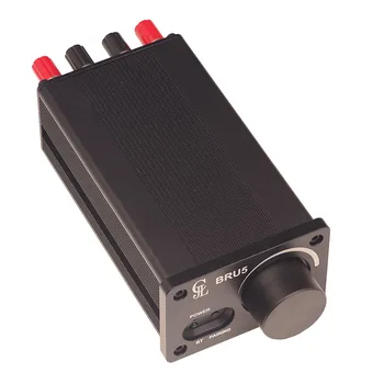 DLHiFi TPA3244 2x100 Вт Bluetooth 5,0 Стерео Hi-Fi DSP Настройка Аудиоусилителя Высокой Мощности Операционный усилитель NE5532 С Корпусом