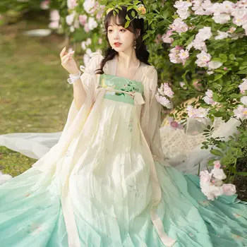 Женская двубортная юбка длиной до талии в китайском стиле Hanfu, Вышитый Повседневный студенческий костюм Immortal Весна-лето