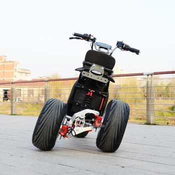 Одобренный EEC COC Склад в Голландии citycoco electric tricycles 3-колесный высокоскоростной электрический трехколесный велосипед с обратным электрическим мотоциклом